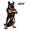 Nein Deutscher Schäferhund Schäferhunde