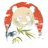 Panda eats bamboo