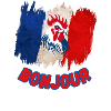 Bonjour France-French Pride Gallic Rooster
