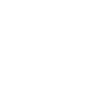 the new future