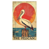 Pelicans Pelican