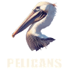 Pelicans Pelican
