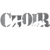 Choir Tenor singer