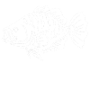 Crappie Fish Perch Sunfish