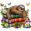 Lazy Sloth Bücher