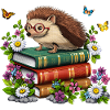 Igel Lesebücher