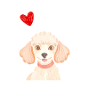 Caniche avec cœur