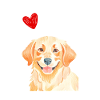 Golden Retriever avec cœur