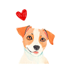 Jack Russel mit Herz