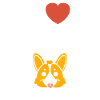 corgi