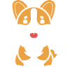 corgi