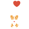 corgi