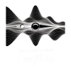 Uncertain About Everything Design