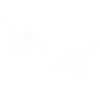 Bee 2
