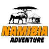 Namibia - Wildebeest - Safari