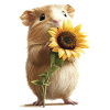 Erdmännchen