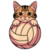 Volleyball Cat Funny Volleyball Gift