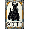 Scottie