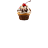 Cupcake 1 ws