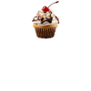 Cupcake 2 ws