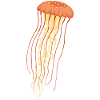 Méduse 2