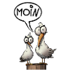 Die Bäädden Möwen - Möwe moin