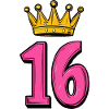 16 Number Jersey Crown