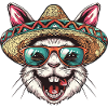 Lapin Bande Dessinée Drôle Sombrero