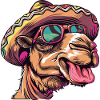 Camel Comic Funny Sombrero
