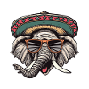 Elephant Comic Funny Sombrero