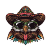 Owl Comic Funny Sombrero