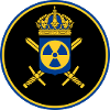 The Swedish Nuclear Weapons Programme