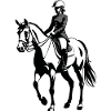 Equitation - Equine Design