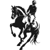 Equitation - Equine Design
