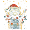 Funny Raccoon Christmas Fairy Lights