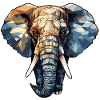 Elephant Tusk Ivory