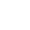 Shuttlecock