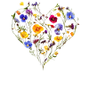Heart of delicate blossoms - Spring-like