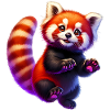 Red panda