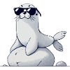 Seal Sunglasses