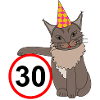 Birthday 30