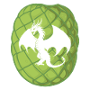 Dragon Magic
