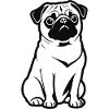 Pug - Pet Design