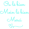 Moin lé bien bleu