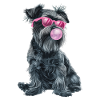 Schnauzer