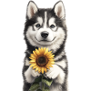 Alaskan Malamute