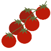Kirschtomaten-Rebe