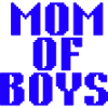 Mom of Boys – Chaos & Love