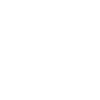 Projektmanagerin Definition Fun
