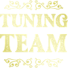 Tuning Team